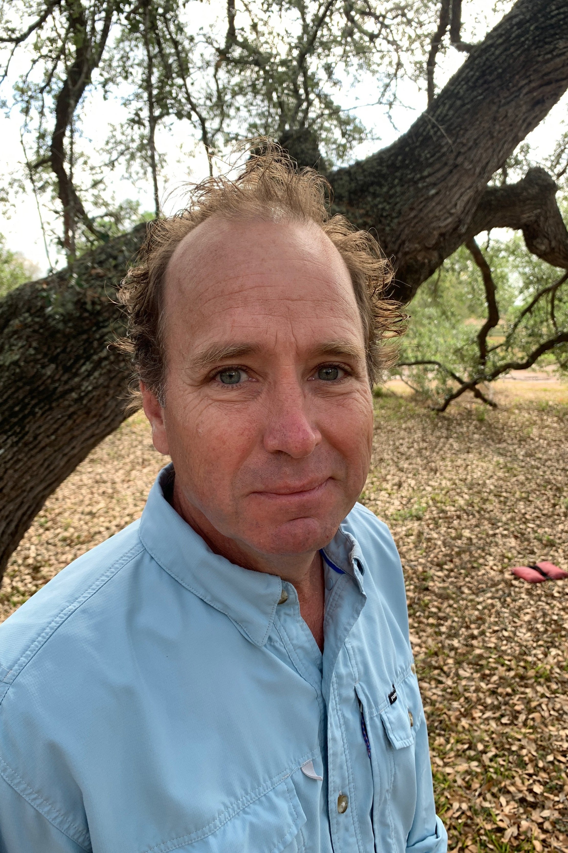 Frates Seeligson