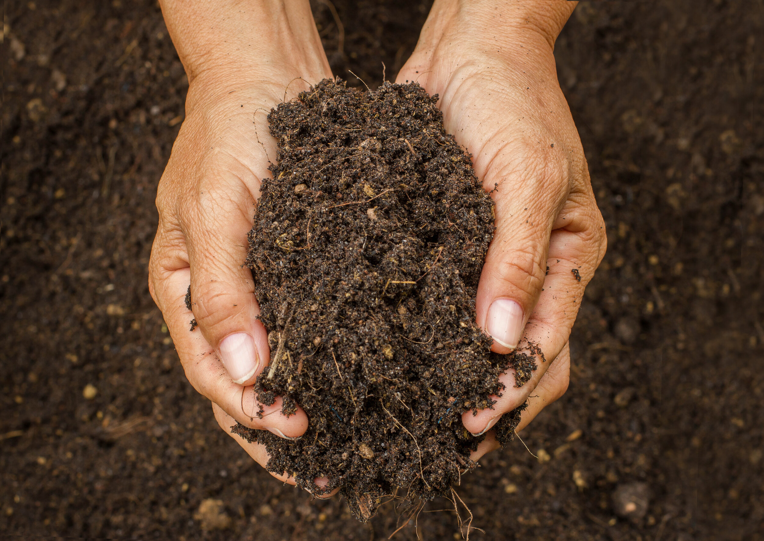 Healthy soil