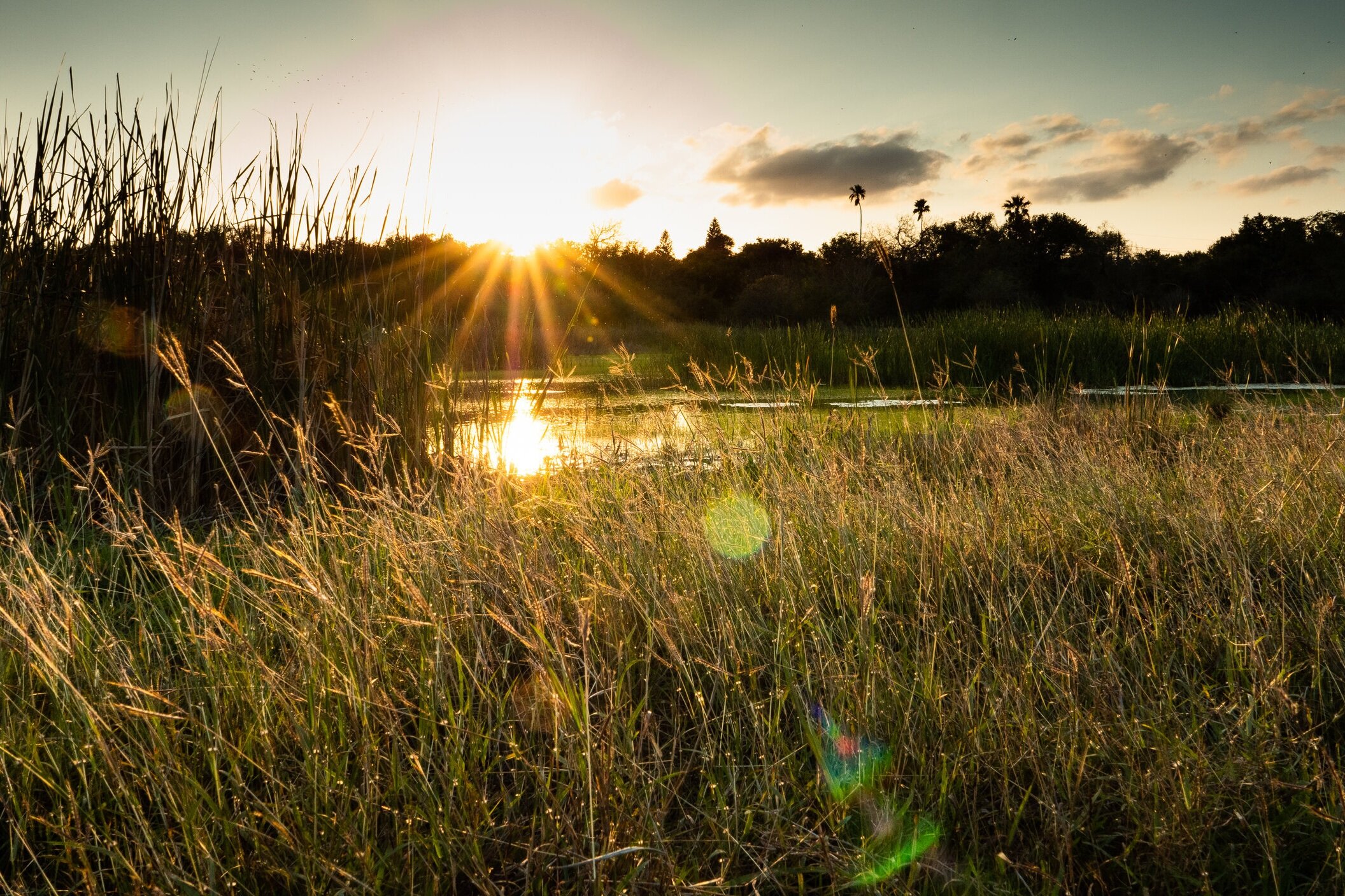 Holistic ranch management